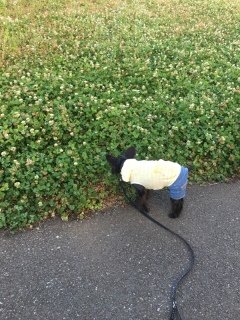 ����