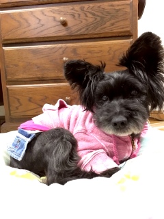 �J������