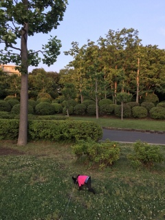 �[���