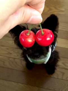 ���܁[���I
