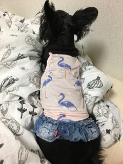 ������