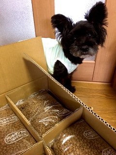 �A�����Q���J�b�g