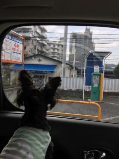 �P�[�L�������