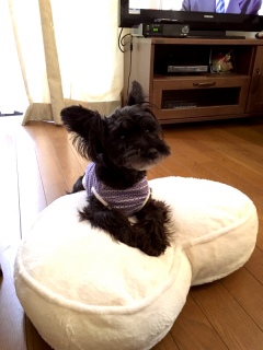 �����܂�����