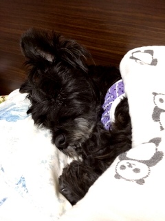 �悭�Q��[�B