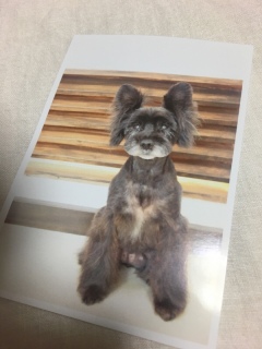 �g���~���O