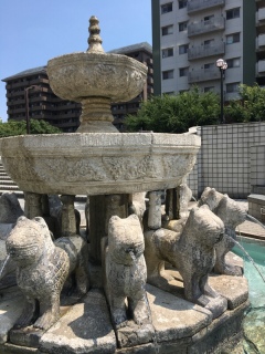 �x�C�^�E���{�q