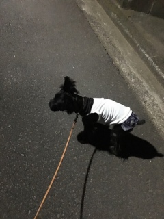 �y����������