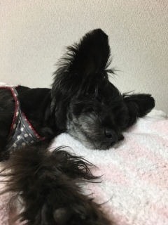 ���܂����[�B