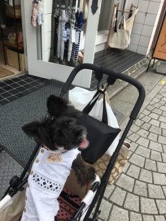 �܂����[�I