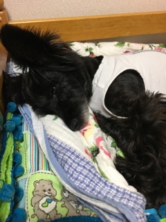 �����Q�����