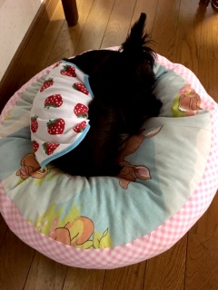 �x������