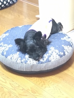 1�R����������