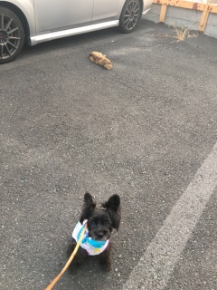 ������[�I