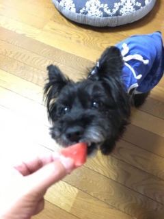 �K�u���Ƃˁ�