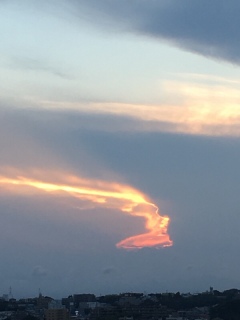 �Ȃ񂶂Ⴑ���H