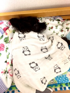 �c�ɐQ��x������B