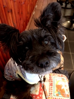 ��T���s���������H