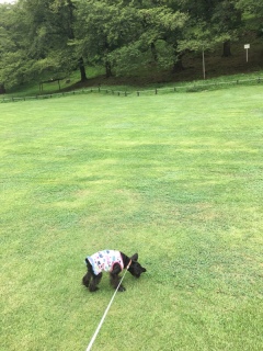 �N���N��