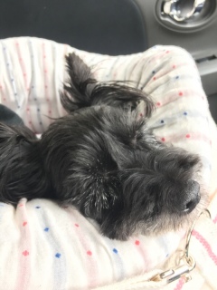 �����A��