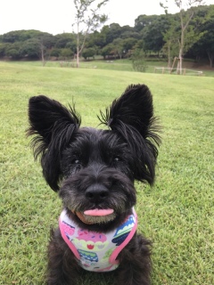 �x������