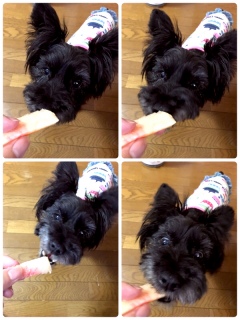 �����D���߂���