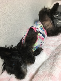 ������[�B