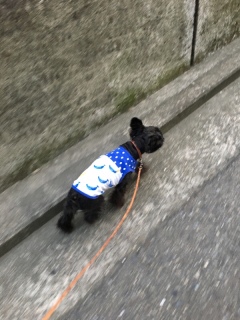 ���߂���