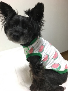 �X�C�JT����