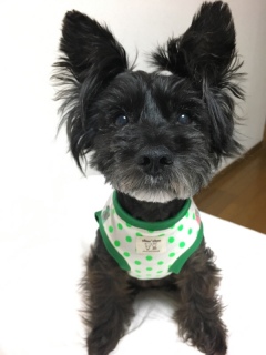 �X�C�JT������