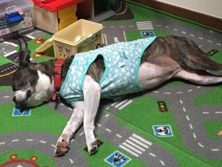 �؂�����