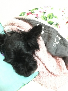 �R���d��