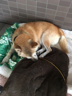 �^���E�����