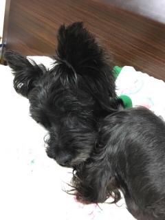 �܂��������[�B