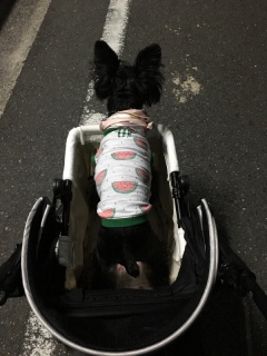 ���ǂ����[�B