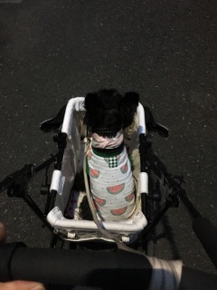 �����肵�ĂƁc