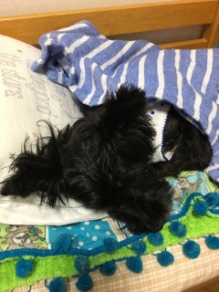 �x���q����