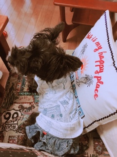 �x�������