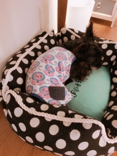 �����q�A��