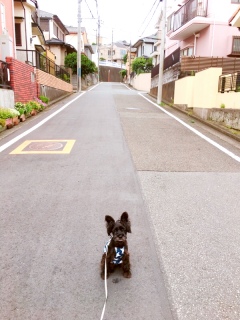 炳[B