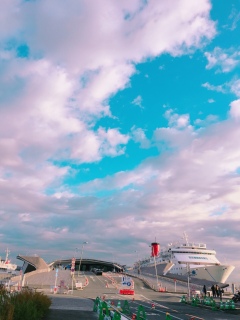 傳