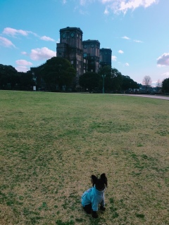 v撆