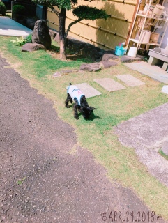 ܂̂B