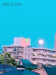 ͂[I