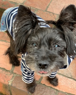 ��������