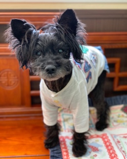 ���q�̕a�@��